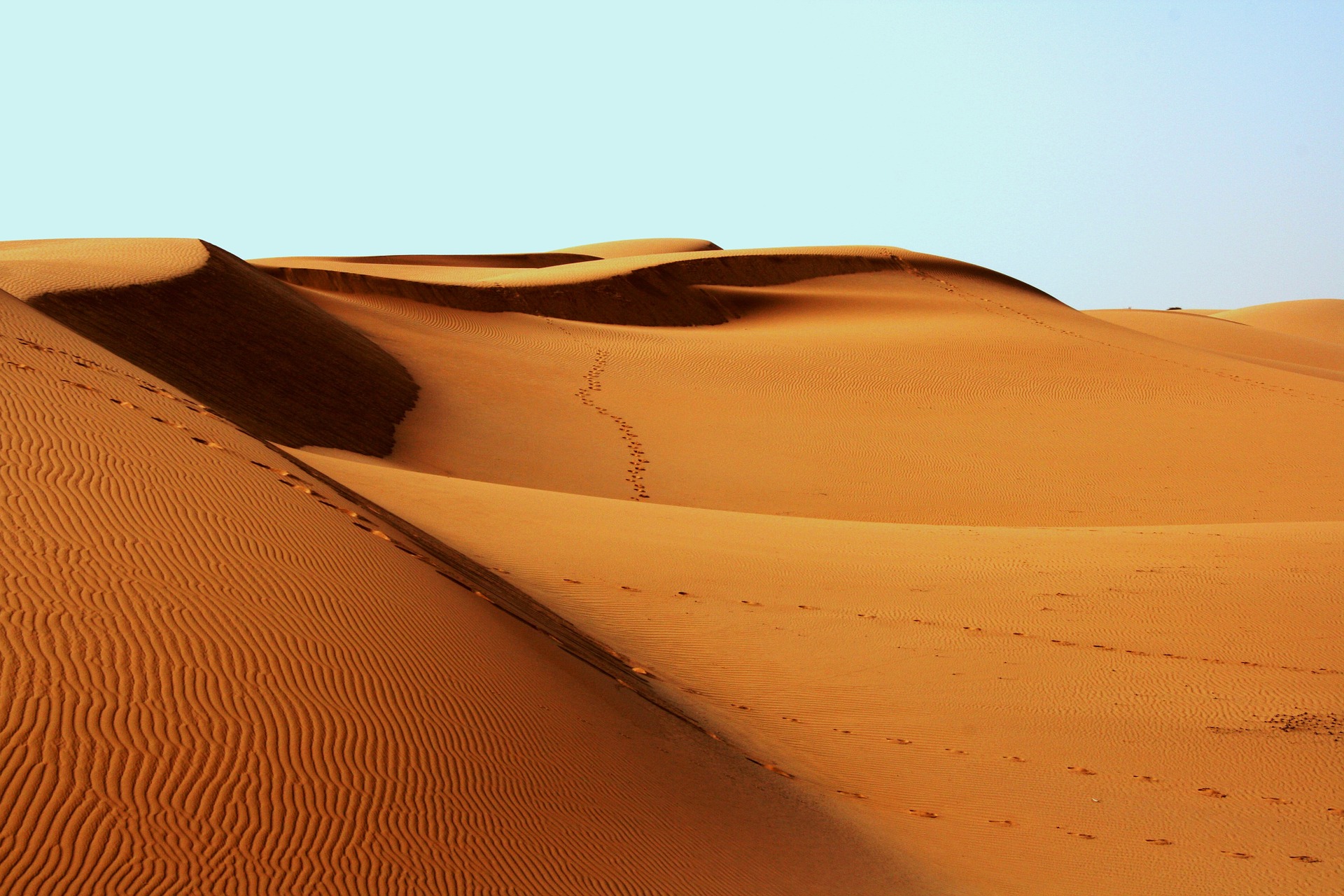 eczema desert